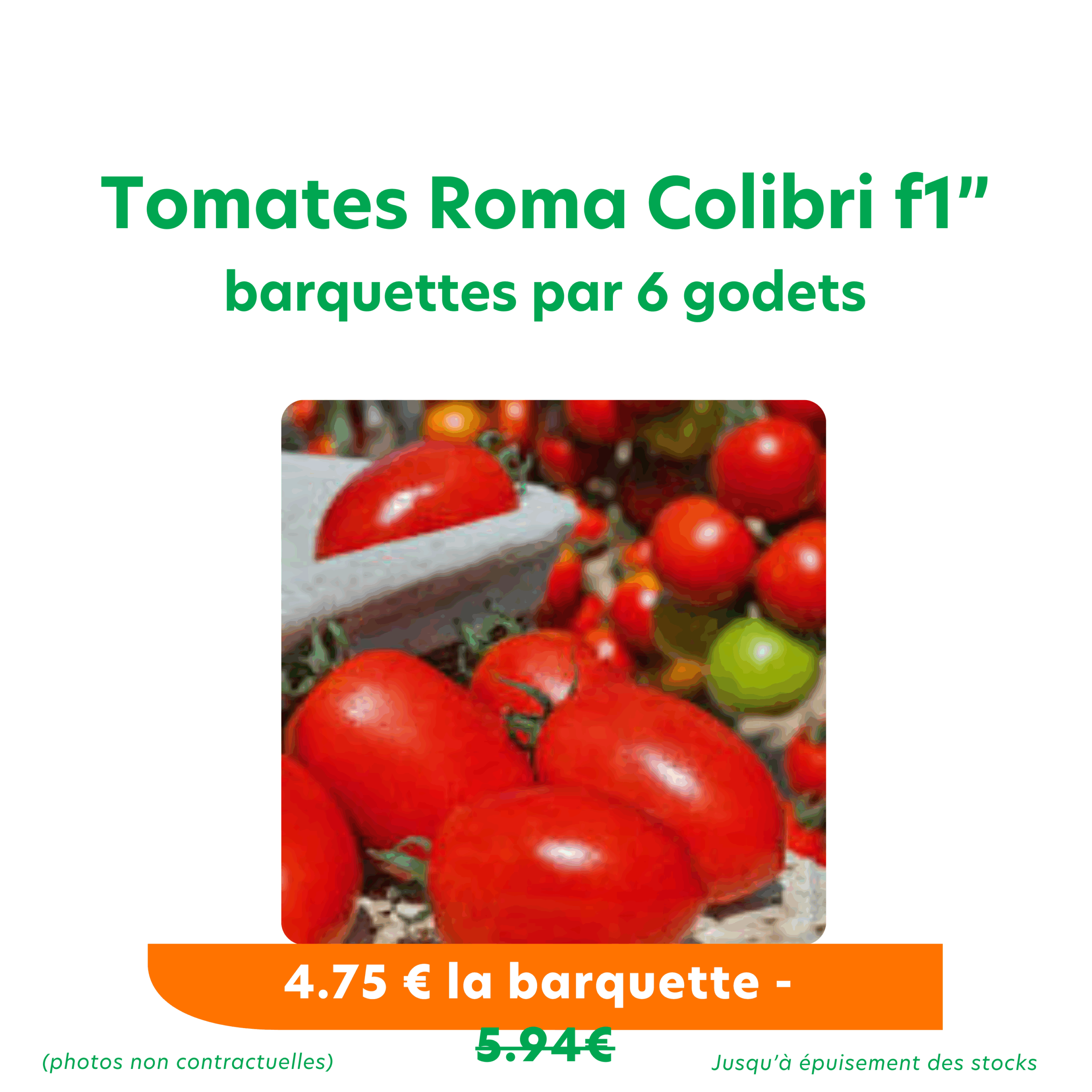 2025 Promos Horticat emailing tomates roma colibri