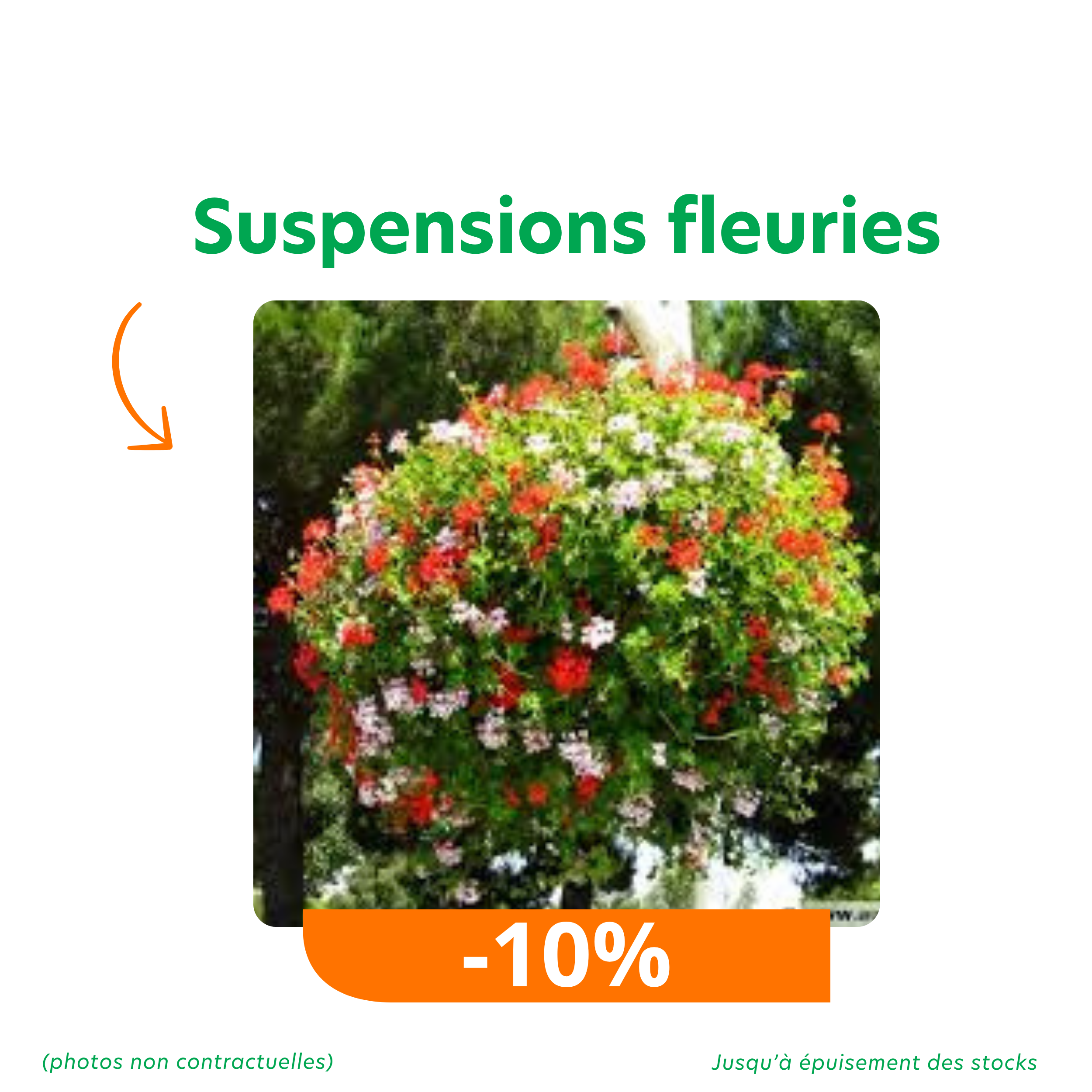 Offres_promotions du moment 2 (2) suspensions fleuries