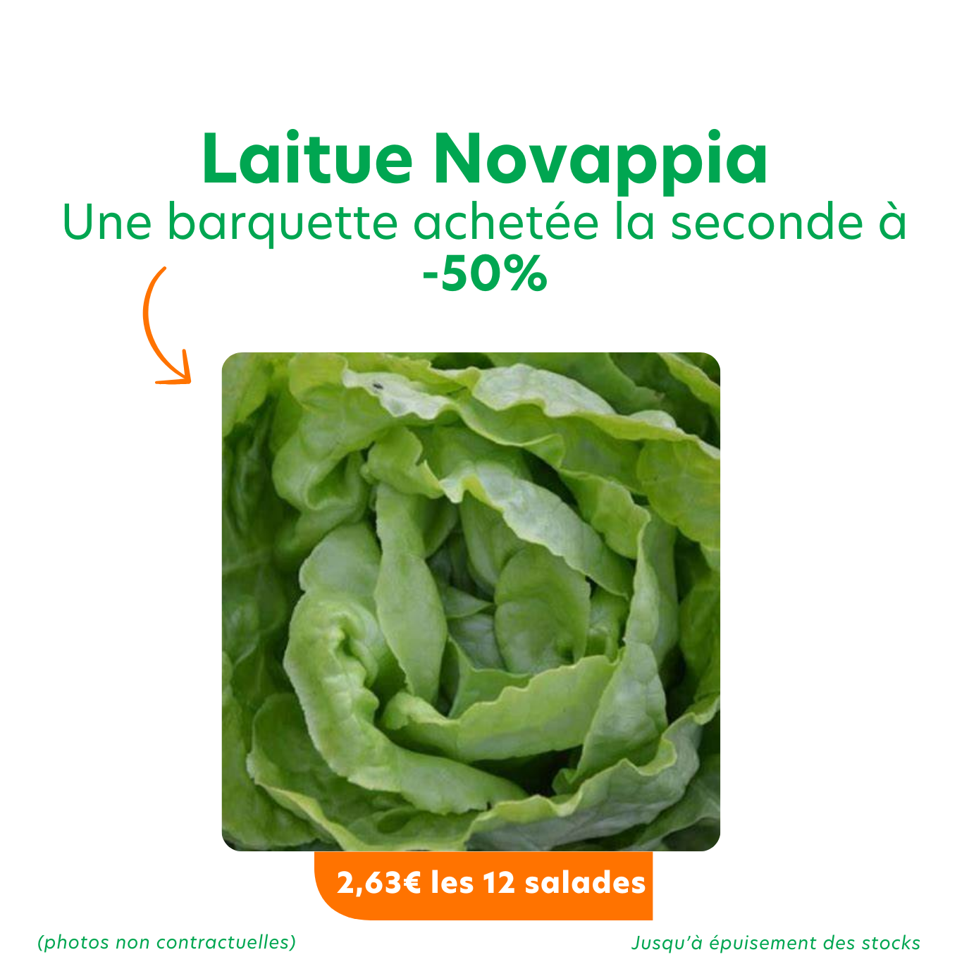 Offres_promotions du moment 2 (2) laitue