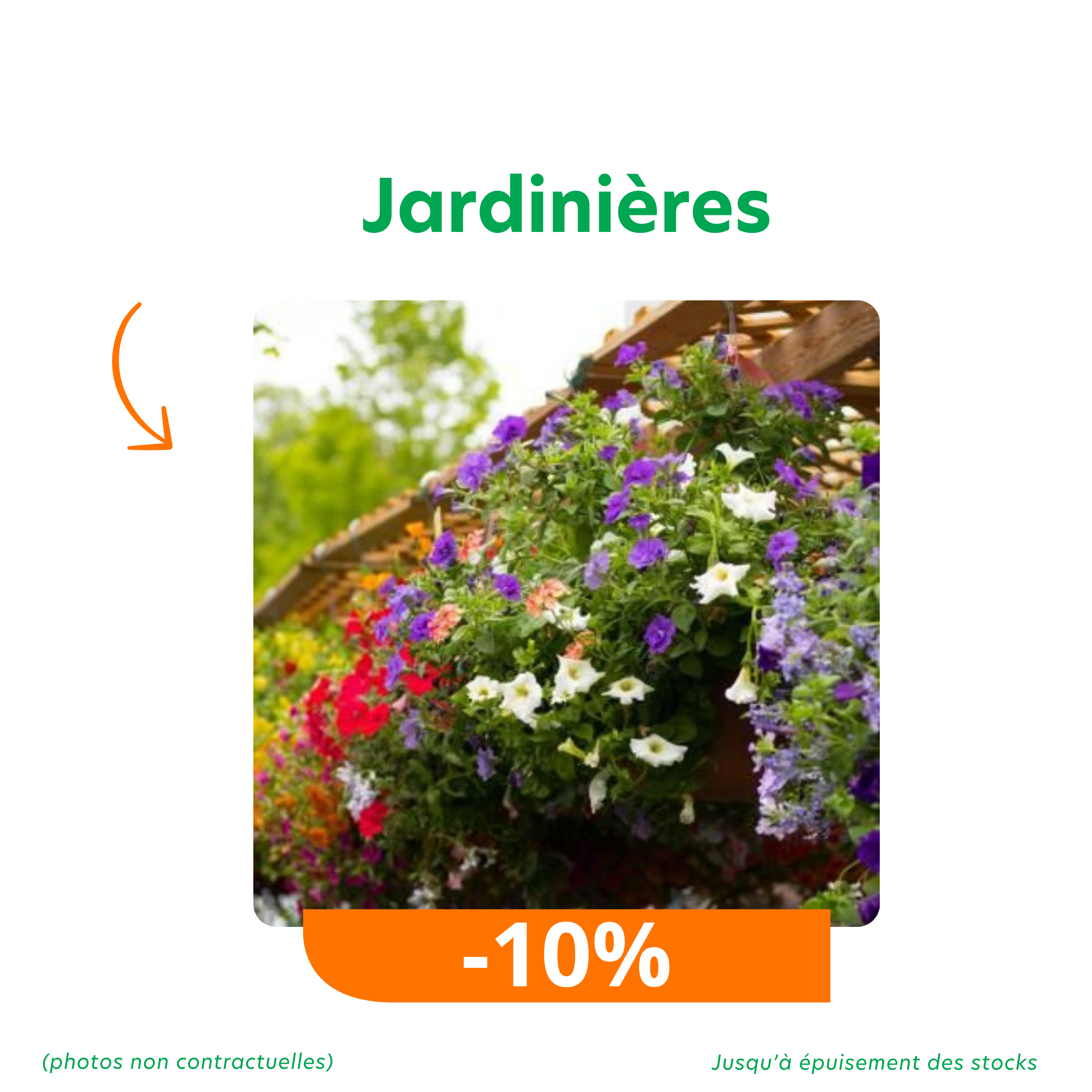 Offres_promotions du moment 2 (3) jardinières